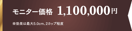 モニター価格 1,250,000円