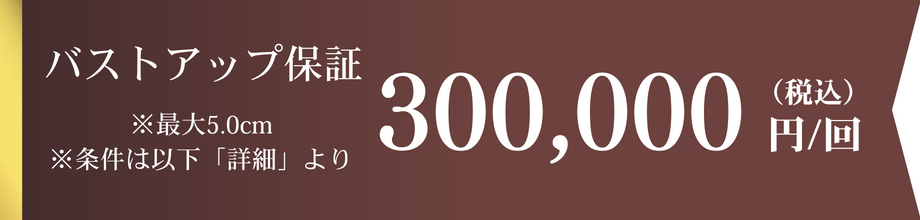 安心ケア施術 350,000円/1回のみ