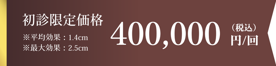 モニター価格 800,000～1,300,000円