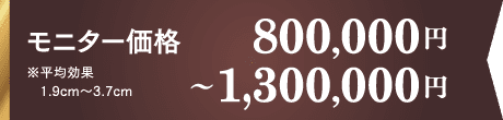 モニター価格 800,000～1,300,000円