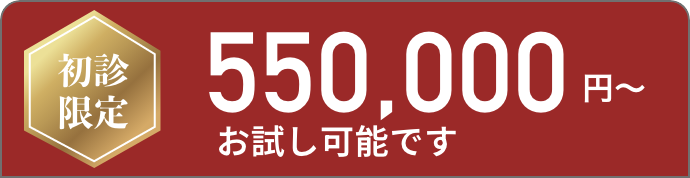 550,000円〜お試し可能です